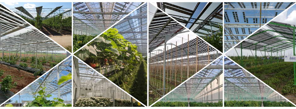 Banner showcasing selected agricultural installations of Brite Solar’s semi-transparent photovoltaic panels in greenhouses and open-field crops.