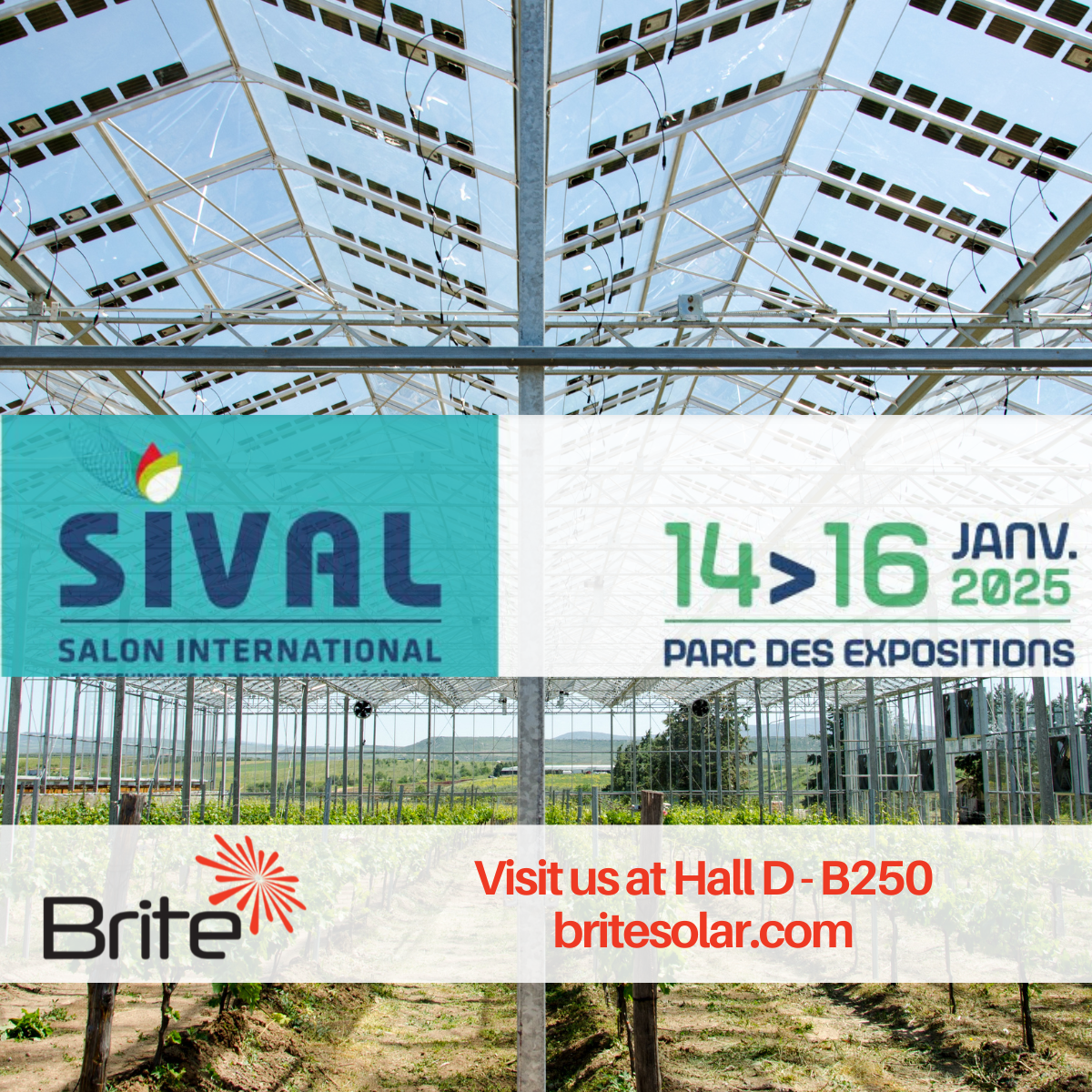 Visit Brite Solar at Sival Expo 2025, Booth B250 – Hall D, and explore how our semi-transparent solar panels are transforming agriculture.